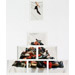 Nature Morte I-VI