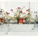 Nature Morte I-VI