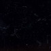 Tatsch