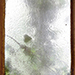 Efeufenster