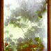Efeufenster