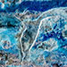 Delta 5