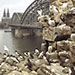 KÖNIGLICHER BESUCH AUS BONN